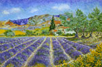 Lavenders