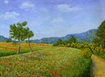 The Poppy Field