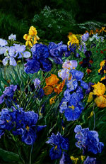 Irises